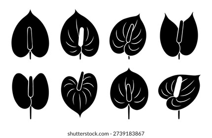 Anthurium Flower Silhouette Vector Illustration Set for Tropical Botanical Garden Design Exotic Floral Clipart and Summer Leaf Pattern