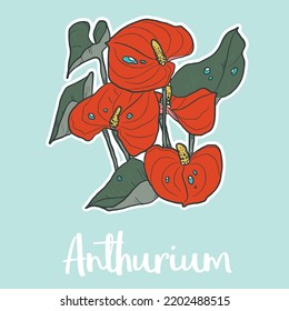 Anthurium Flower Vector Color Illustration