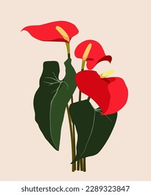 Anthurium Flower Vector, Tropical flower vector, Tail Flower, Flamingo Flower