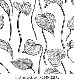 Flores de antrurio sin fisuras. Ilustración vectorial dibujada a mano. Antecedentes botánicos tropicales realistas. Esbozo de planta exótica. Diseño vintage monocromo de contorno, impresión, tela, textil, papel tapiz.