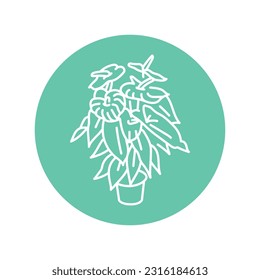Anthurium houseplant black line icon. Indoor decorative plant. Pictogram for web page, mobile app, promo.