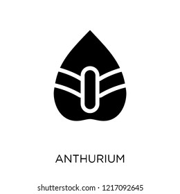 Anthurium icon. Anthurium symbol design from Nature collection. Simple element vector illustration on white background.
