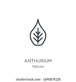 Icono de antrurio. Icono de contorno lineal delgado del anturio aislado en fondo blanco de la colección natural. Signo vectorial de línea, símbolo para web y móvil