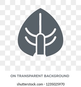 Anthurium icon. Trendy flat vector Anthurium icon on transparent background from nature collection. 