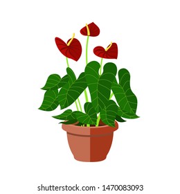 Anthurium Indoor Plant in Pot. Beautiful Image For Online Store, Advertising, Your Site. Houseplant in Flower pot vector icon on white background