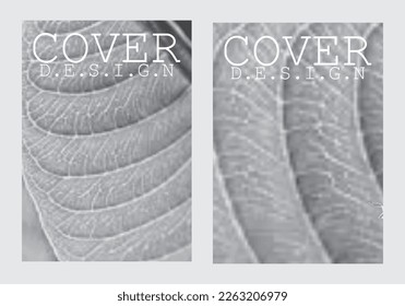 Anthurium leaf floral background set cover