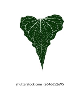 Vetor folha de antúrio com cor escura é bom para o logotipo ou complemento de imagem