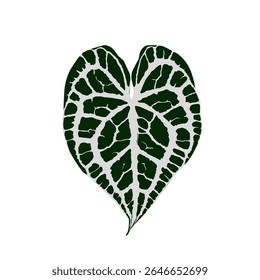 Vetor folha de antúrio com cor escura é bom para o logotipo ou complemento de imagem