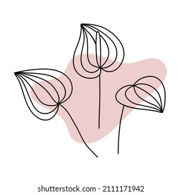 Anthurium. Minimal tropical flower in line art style. Boho jungle flower outline. Elegant hand drawn flower. Botanical design element and abstract shape