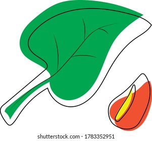 

anthurium plant with big red flowers drawn vector