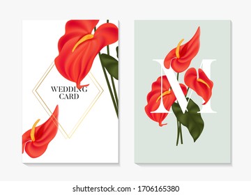 Anthurium red floral card minimal design, wedding invitation, bridal ceremony poster with gold elements. Big macro Painted Tongue flower,  flamingo flower template. Vector.