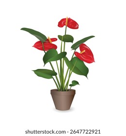 Anthurium com inflorescências vermelhas - planta exótica tropical em um vaso de flor de plástico isolado em um fundo branco close-up. Imagem realista de vetor para projeto de design de sala, banner de publicidade da loja de plantas