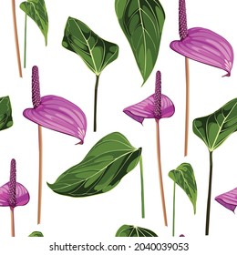 Antrurio. Patrón floral sin foco, con flores glotonas violetas y hojas de anturio. Patrón tropical sobre fondo blanco. 