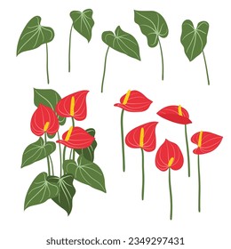 Ilustración vectorial del antrurio. Flores y hojas de flamingo rojo