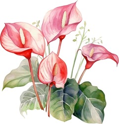 Anthuriums Watercolor Illustration. Hand Drawn Underwater Element Design. Artistic Vector Marine Design Element. Illustration For Greeting Cards, Printing And Other Design Projects.