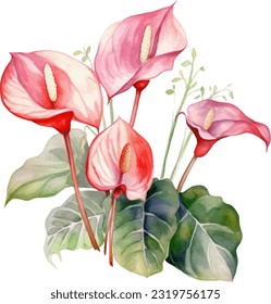 Anthuriums Watercolor illustration. Hand drawn underwater element design. Artistic vector marine design element. Illustration for greeting cards, printing and other design projects.