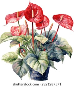 Anthuriums Watercolor illustration. Hand drawn underwater element design. Artistic vector marine design element. Illustration for greeting cards, printing and other design projects.