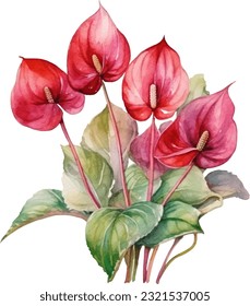 Anthuriums Watercolor illustration. Hand drawn underwater element design. Artistic vector marine design element. Illustration for greeting cards, printing and other design projects.