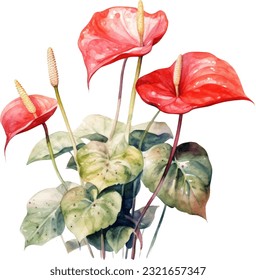 Ilustración de la acuarela de los Anthuriums. Diseño de elementos submarinos dibujados a mano. Elemento de diseño marino vectorial artístico. Ilustración para tarjetas de felicitación, impresión y otros proyectos de diseño.