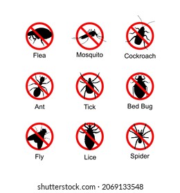 Anti bug symbol icon flea  ant fly  mosquito  tick  lice  cockroach  bed bug  spider