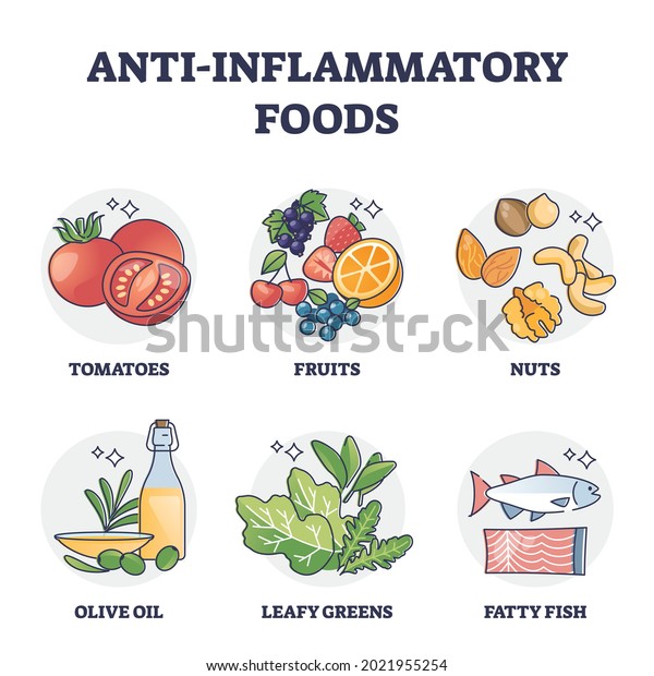 Anti inflammatory foods list for stomach\
digestive health outline collection. Labeled educational set with\
healthy leafy greens, fatty fish and fruits as grocery diet\
ingredients vector\
illustration.