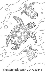 Anti stress coloring book for adults, children. Sea series of coloring books. Line art design for adult or kids coloring pages in zentangle style. For print. Set of vector illustrations. Turtle