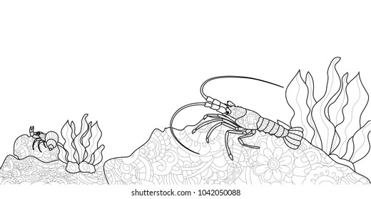 Anti stress crawfish coloring book for adults. Crustacean on the bottom of the river. Cancer or shrimp. Vector illustration of black lines, white background