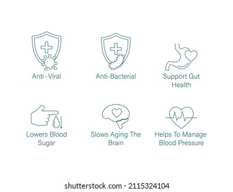 Anti Viral, Anti Bacterial, Supports Gut Health, Lowers Blood Sugar, Slows Aging Of The Brain, Helps To Manage Blood Pressure, Icon Set Vector Line Art