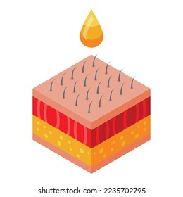 Anti-aging drop oil icon isometric vector. Face skin. Anti woman