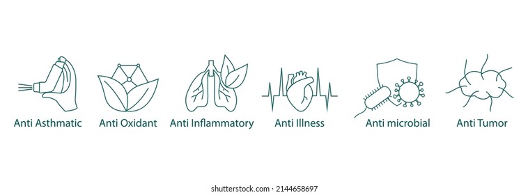 Antiasthmatische, antioxidative, entzündungshemmende, antimikrobielle Mittel, Antitumormittel