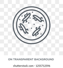 antibacterial icon. antibacterial design concept from Hygiene collection. Simple element vector illustration on transparent background.