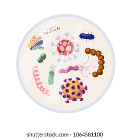 Antibacterial Sign Set. Bacteria Kill Symbol. Control Infection. Germ Kill. Infection Icon. Coronavirus. Antibacterial Cartoon Bacteria. Coating Must Be Sterile, Do Not Touch, Clean, Safe, No Germs.