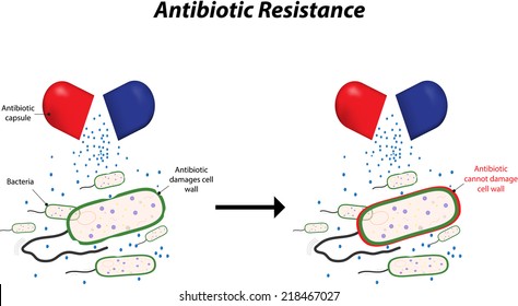 Antibiotic Resistance
