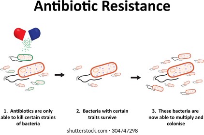 11,844 Antibiotics resistance Images, Stock Photos & Vectors | Shutterstock