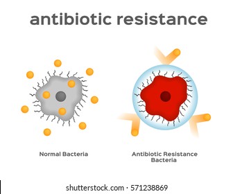 Antibiotic Resistance Bacteria And Virus Vector