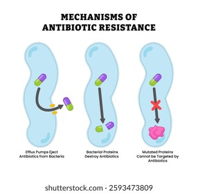 Antibiotic Resistance Mechanism diagram process. Efflux pumps ejecting antibiotics, bacterial proteins destroying antibiotics and mutated proteins defense system. vector illustration.