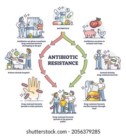 Antibiotic Resistance Process Cycle, Illustrated Outline Diagram. Drug Resistant Bacteria Development Inside Human And Animal Gut And Spreading Path To General Public By Food And Human Contact.