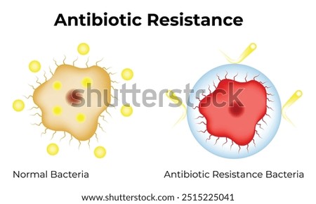 Antibiotic Resistance Science Design Vector Illustration Diagram