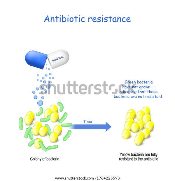 Antibiotic resistance. Two type of bacteria (not resistant and fully resistant). Colony of bacteria and capsule with antibiotic.