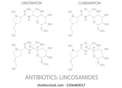 Antibióticos lincosamidas fórmula química molecular esquelética.