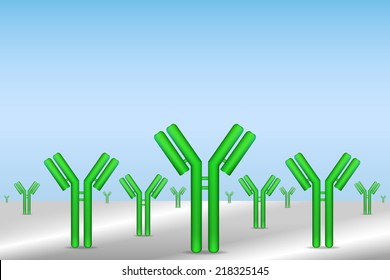 Antibodies immobilized on surface ready for analyte detection