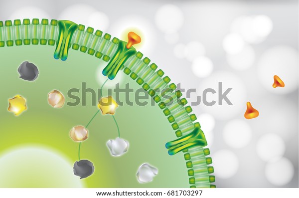 antibody blocking cell receptor\
