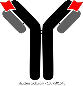 Antikörper-IgG-Icon und Antigen