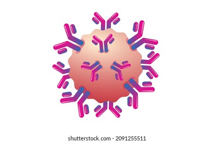 Antibody vector on white backgroud, virus vector