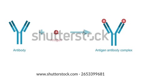 Antigen Antibody Complex in Biology.