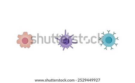 Antigen presenting cells (APCs). Macrophage, Dendritic cell, B-lymphocyte. Immune response. Vector scientific illustration.