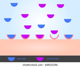 antihistamine for skin allergy vector
