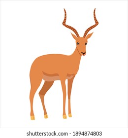 Antilope For Animal Vector Illustration