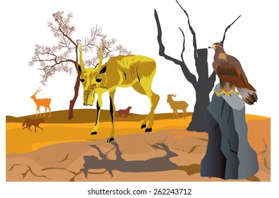 Antilope and eagle in desert illustration