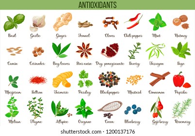 Antioxidant Food, Herbs And Spices. Healthy Lifestyle. Super Food Anthocyanins, Vector Illustration